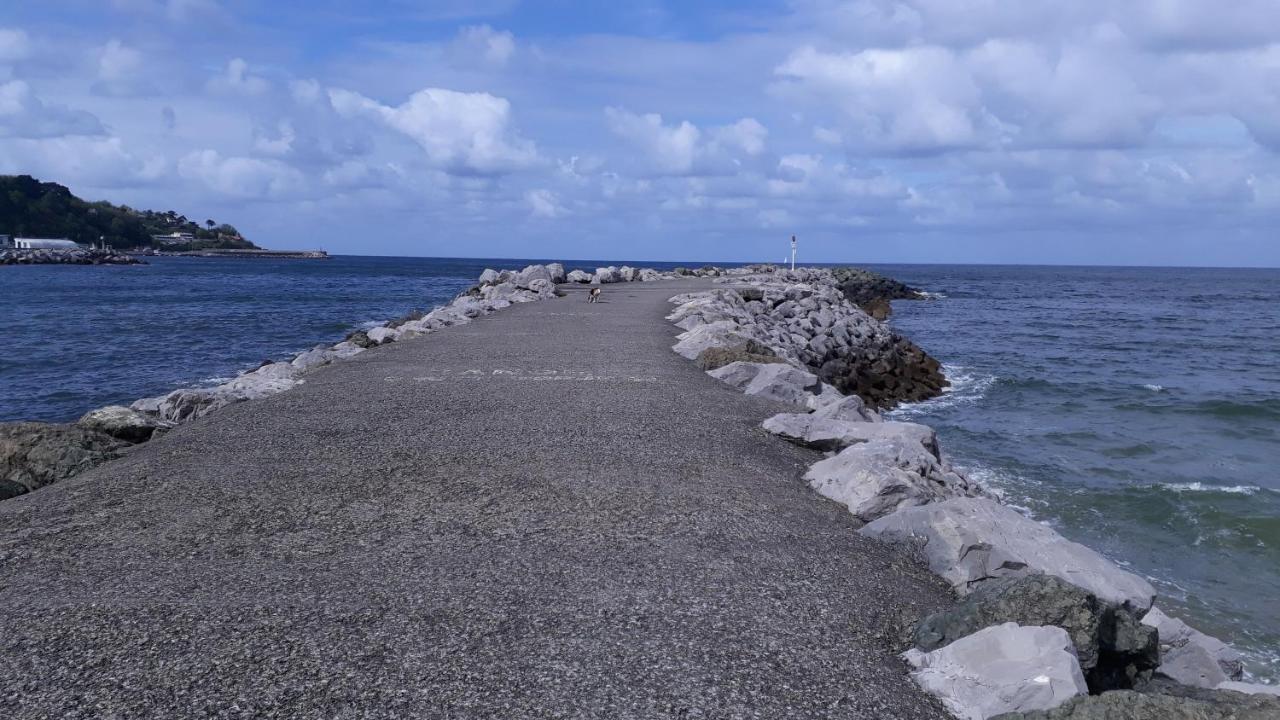 Appartement Les Hirondelles 2Km Plage-Wifi-Jardin-Parking-Draps Et Serviettes Hendaye Εξωτερικό φωτογραφία